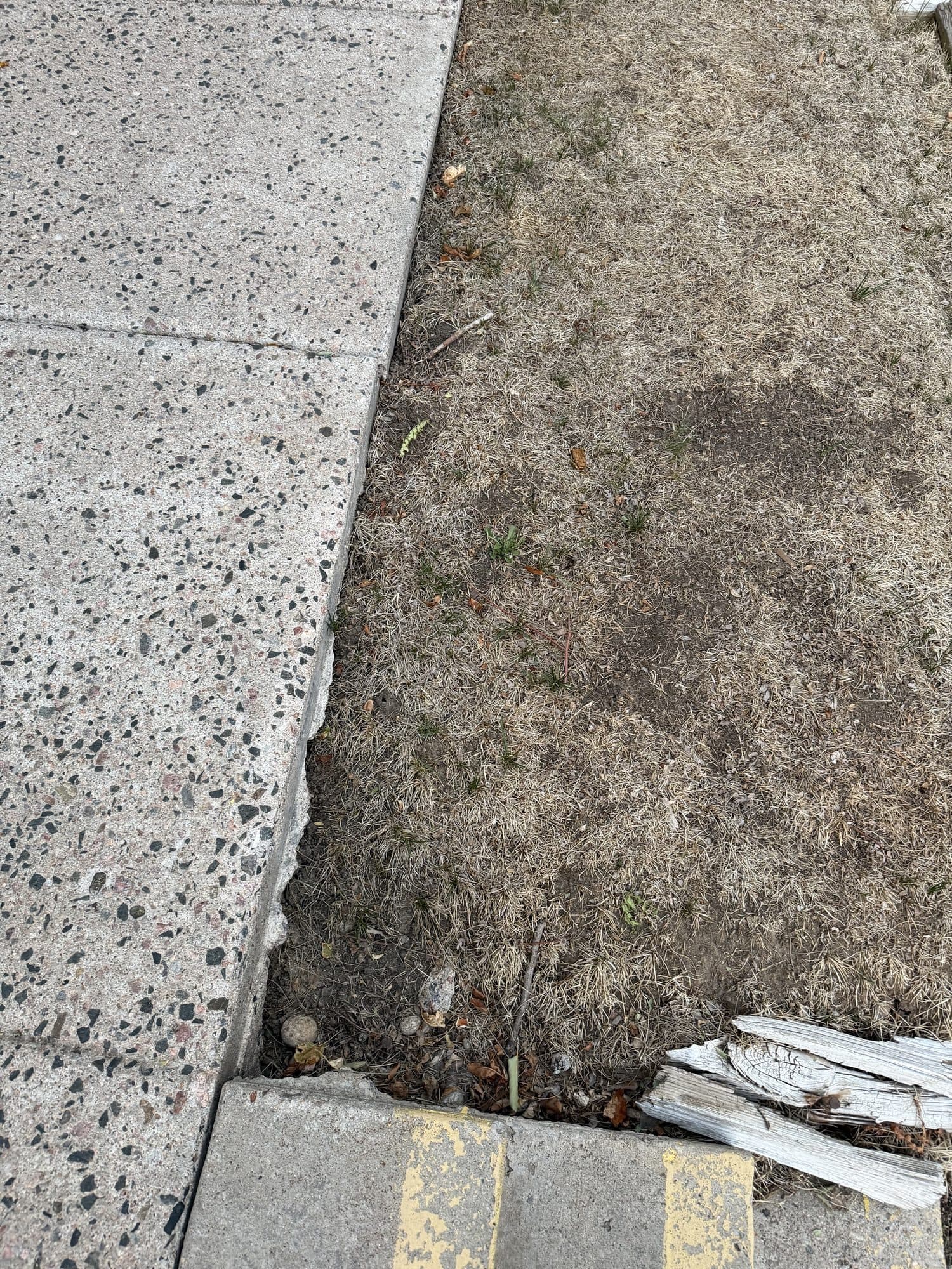 Spalling concrete walkway — IMG_1061: Cracked, spalling concrete surface along a common walkway.