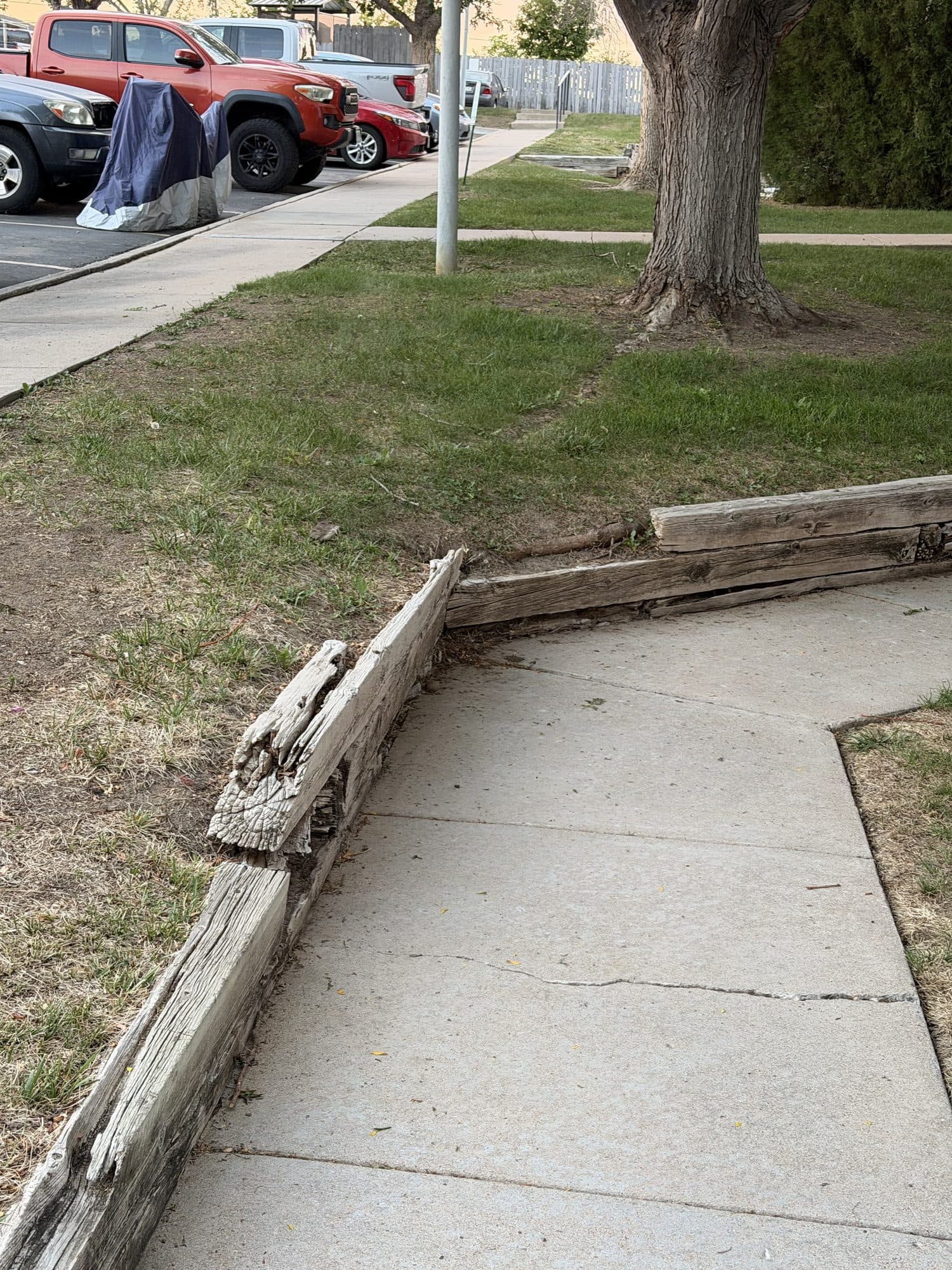 Leaning timber retaining wall by walkway — IMG_1063: Timber retaining wall leaning along a concrete walkway near parking.